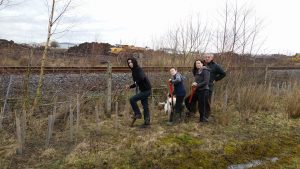 hedge-planting-at-the-brickponds-daniel-challenger