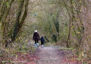 A winters Walk, By Dean Huntington