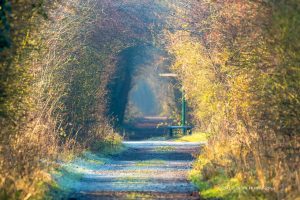 Oakhill path with sign, By Dean Huntington